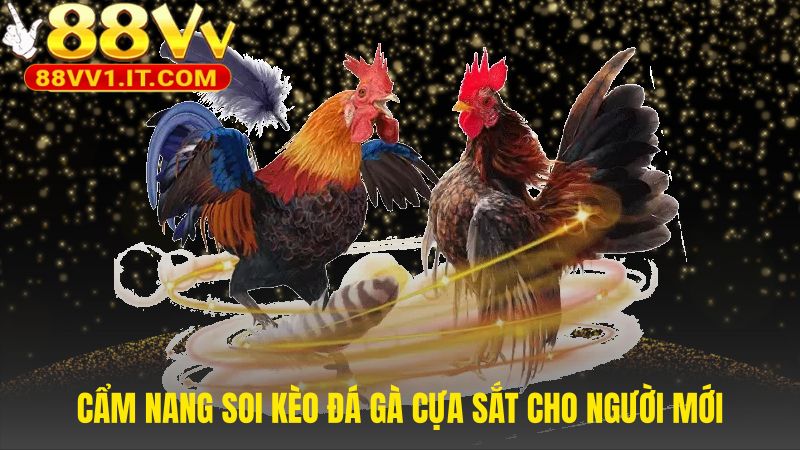 Hướng dẫn soi kèo đá gà cựa sắt xây dựng nền tảng vững chắc