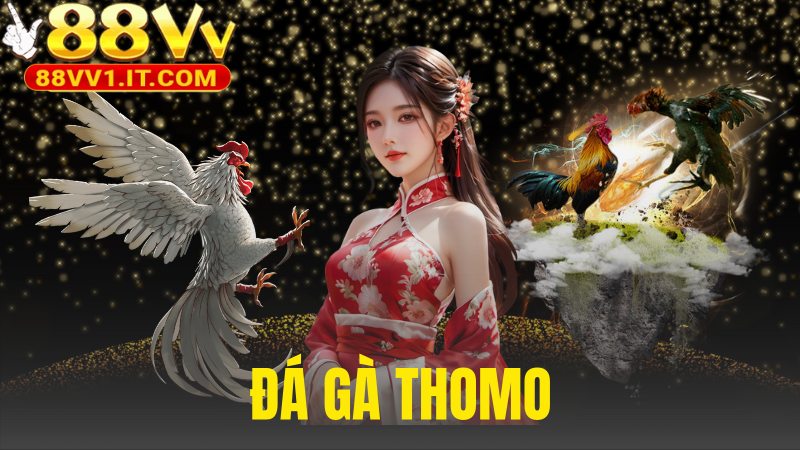Đá Gà Thomo