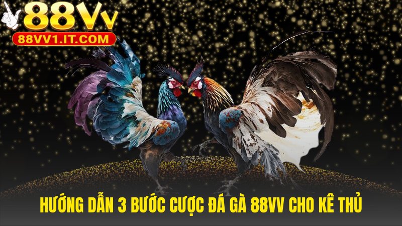 Ba bước đơn giản để bắt đầu cược đá gà 88VV