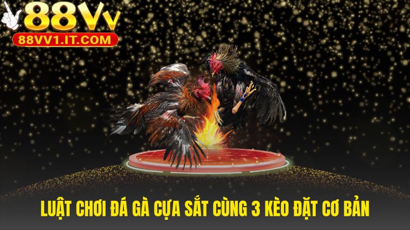 Luật chơi cựa sắt giải thích 3 kèo đặt Meron Wala BDD