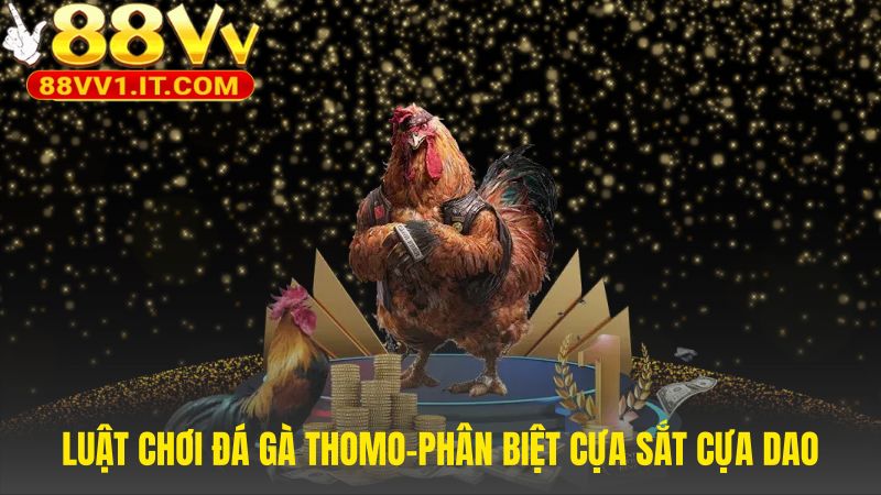 Luật chơi Thomo phân biệt rõ đặc điểm cựa sắt và cựa dao