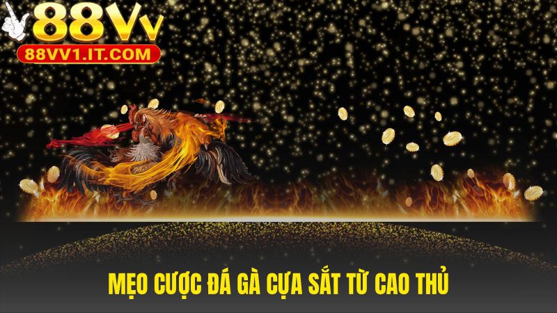 Kinh nghiệm cược từ chuyên gia giúp quản lý vốn hiệu quả